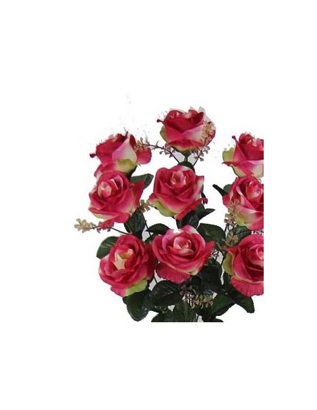ROSAS OTOÑALES X9 CICLAMEN (R