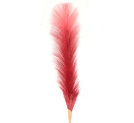 PLUMERO DE LAS PAMPAS FUCSIA (