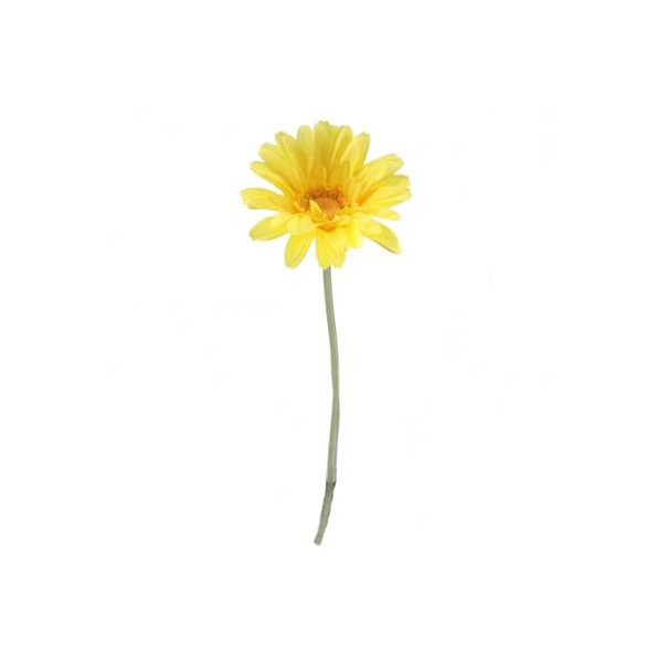 GERBERA AMARILLO (2290-02)