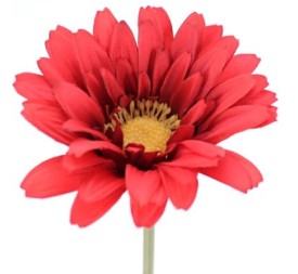 GERBERA ROJO (2290-08)
