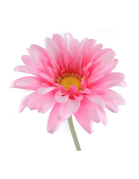 GERBERA ROSA (2290-12)