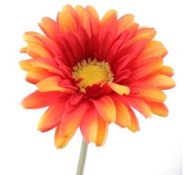 GERBERA NARANJA (2290-15)