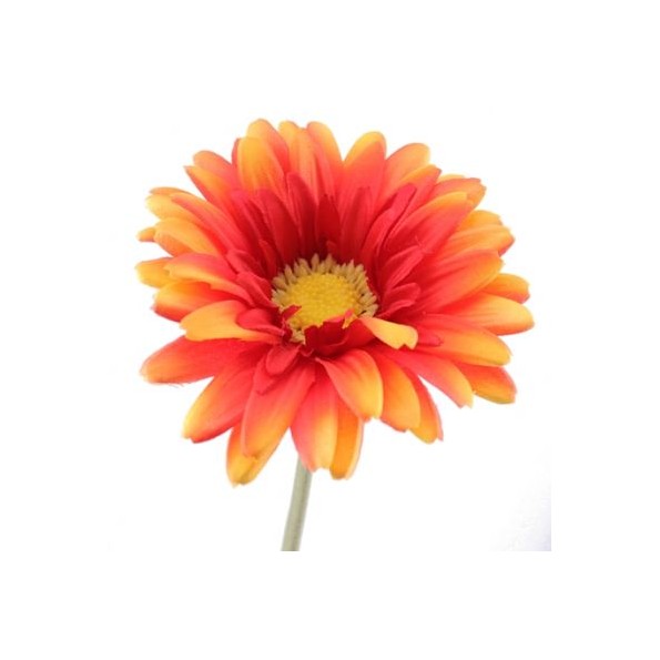 GERBERA NARANJA (2290-15)