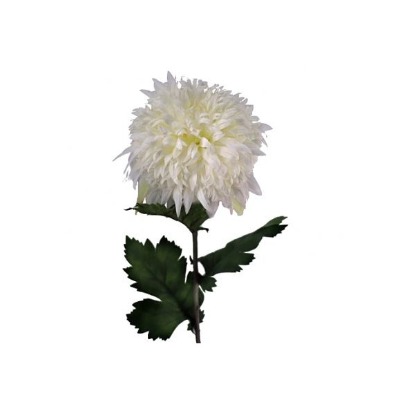 SNOWBALL MUM BLANCO (2093-11)