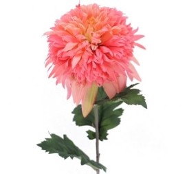 SNOWBALL MUM SALMON (2093-14