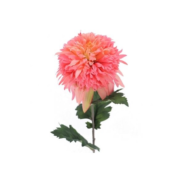 SNOWBALL MUM SALMON (2093-14)