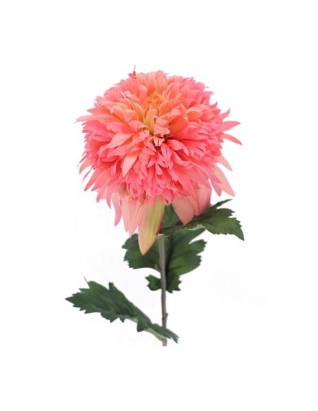 SNOWBALL MUM SALMON (2093-14