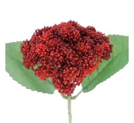 SEDUM ROJO (9755-08)