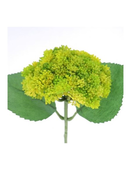 SEDUM VERDE (9755-09)