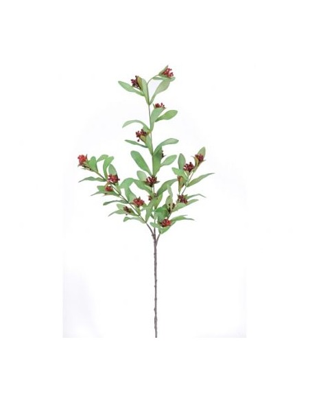 PISTACIA ROJO (9756-08)