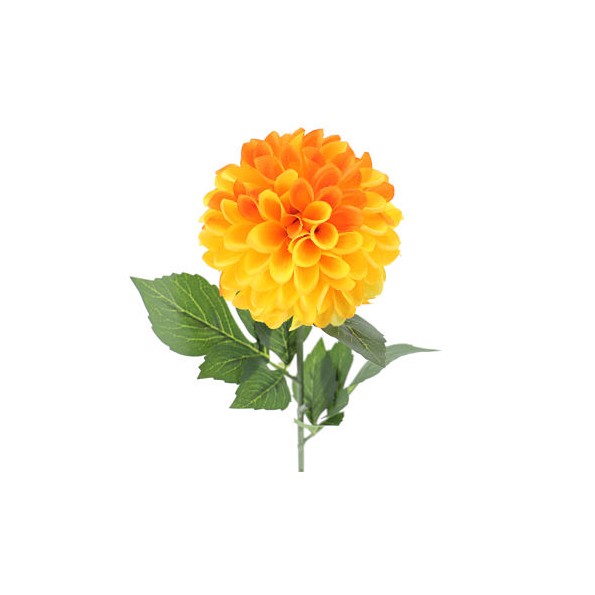 DAHLIA AMARILLO (2651-02)