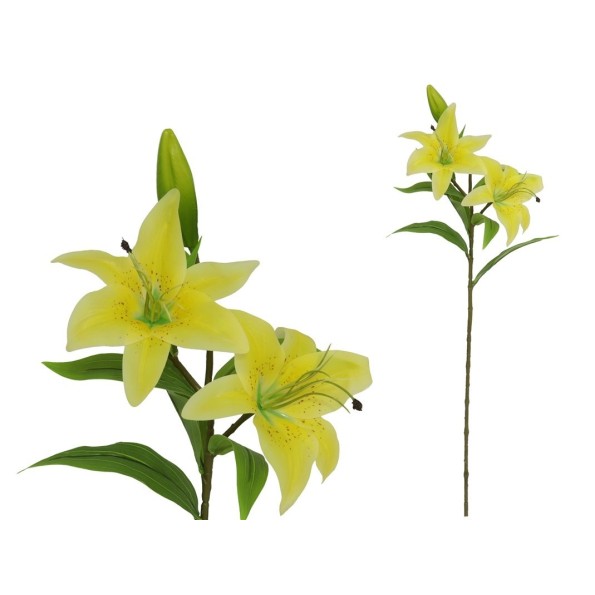 VARA LILIUM REAL TOUCH X 3-77CM (AM)