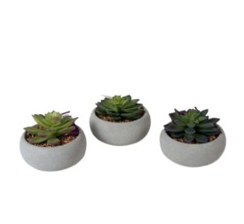 MACETA CEMENTO SUCULENTAS-9 CM
