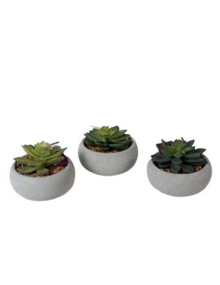 MACETA CEMENTO SUCULENTAS-9 CM