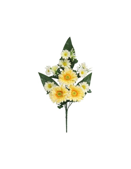 CONJUNTO GERBERA-DAISY X 9-49 (2469)