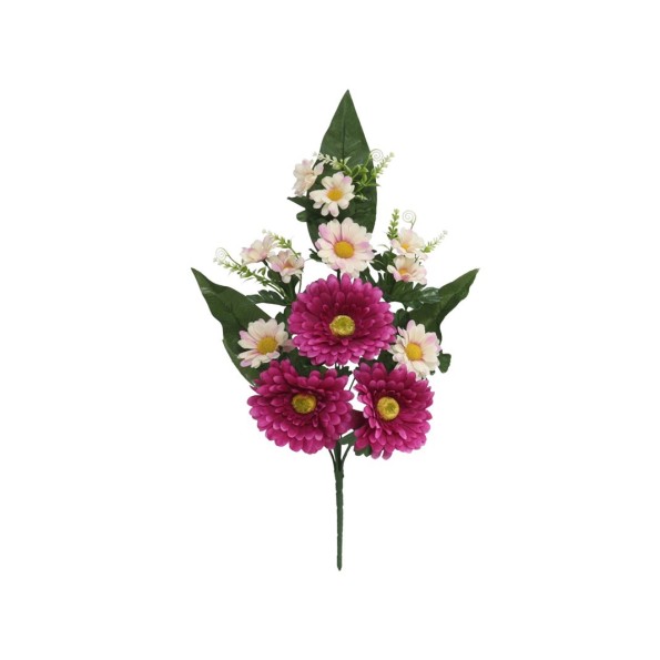 CONJ. GERBERA-DAISY X 9-49 CM (