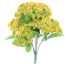 RAMO TRACHELIUM (6315-02)