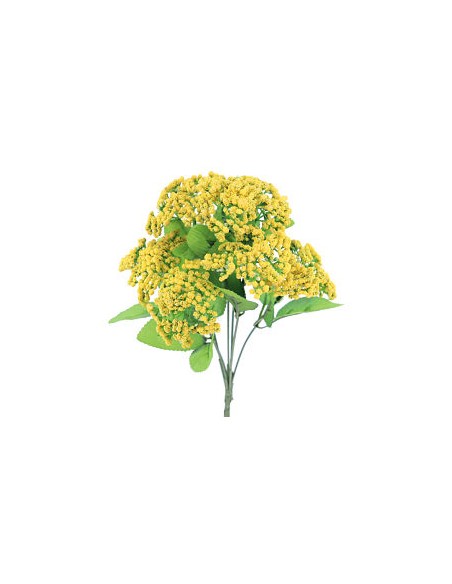 RAMO TRACHELIUM (6315-02)