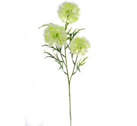 VIBURNUM X 3 (4308-01)