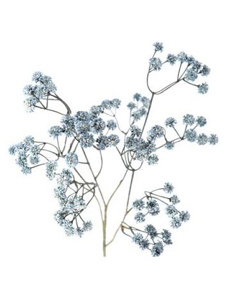 GYPSO VINTAGE (6104-10)