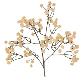 GYPSO VINTAGE 62 CMS (6104-31)