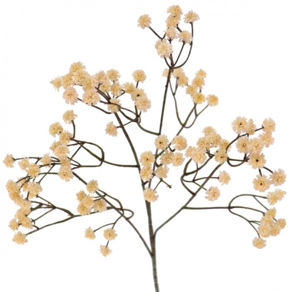 GYPSO VINTAGE 62 CMS (6104-31)