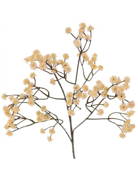 GYPSO VINTAGE (6104-31)