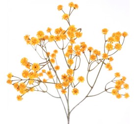 GYPSO VINTAGE 62 CMS (6104-34)