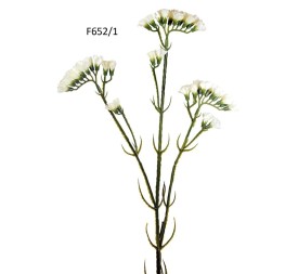 R.SIEMPRE VIVA BLANCA 63cm (F652/1)