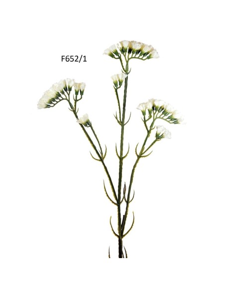 R.SIEMPRE VIVA BLANCA 63cm (F652/1)