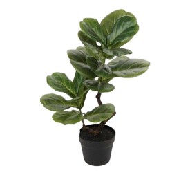 P.FICUS YARATA T.NAT.65cm C/MC (G678-1)