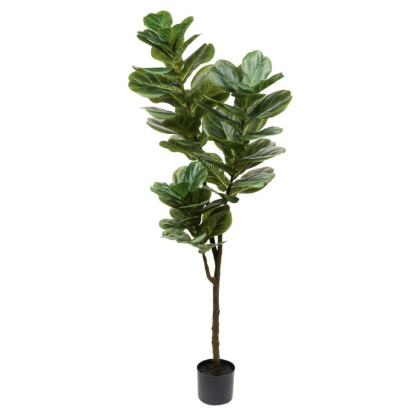 P.FICUS YARATA T.NAT.150cmC/MC (G678-2)