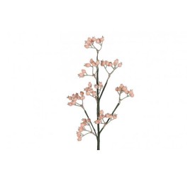 VARA DE BAYAS EN RAMA 49cm