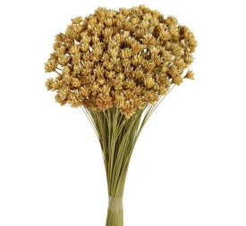 HILL FLOWER 45 cms. NATURAL (01)