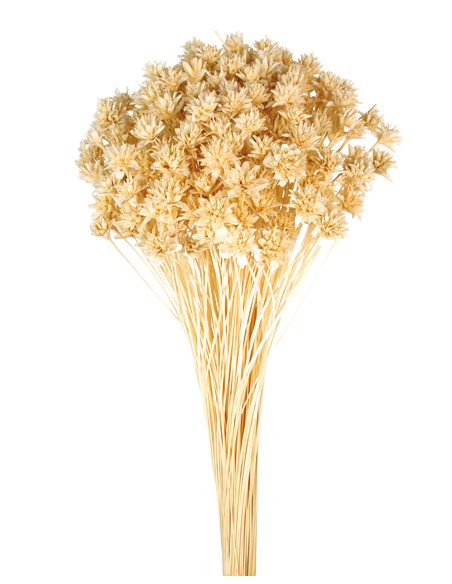 HILL FLOWER 45 cms. AMARILLO (F10)