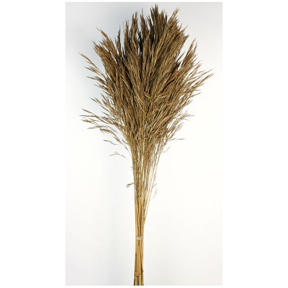 ANDRE KISE 100 cms. NATURAL (01)