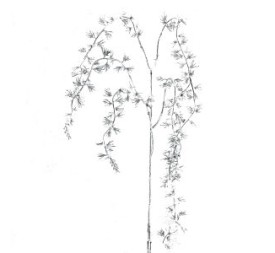 COLGANTE GRASS (NAV-3008-49)