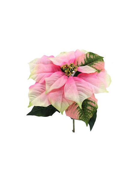 POINSETTIA (XZND-920-12)