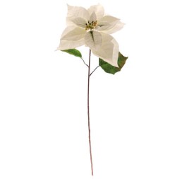 POINSETTIA (NAV-4041-01)