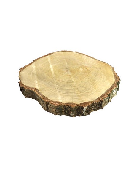 RODAJA PAULOWNIA Ø30x3,5cm