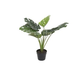 PLANTA PVC 65X65X60 MONTSERA VERDE