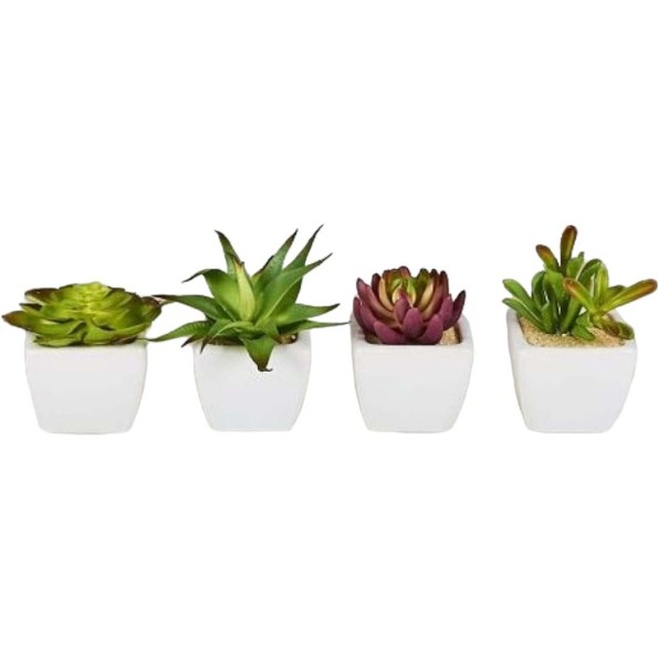 CACTUS EN MACETA 10CM BLANCO SET