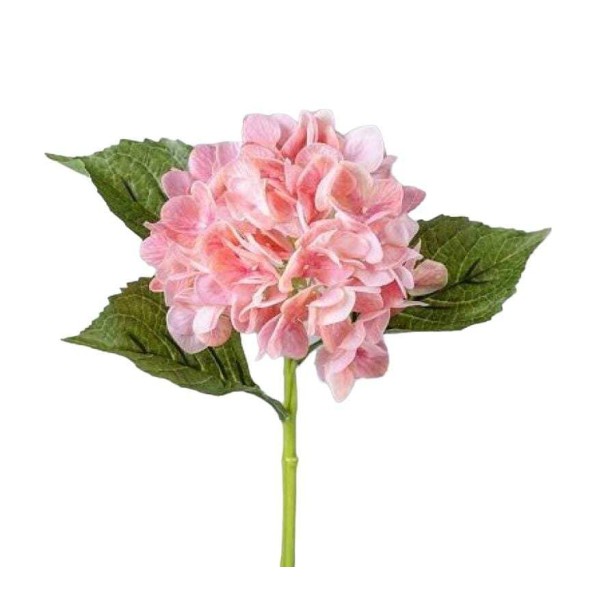 HORTENSIA NATURAL X 1 33CM SALMON