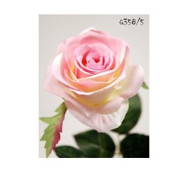 ROSA X1 ROSA 57CM(8CM) (Q358/5)