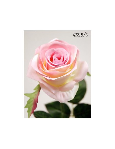 ROSA X1 ROSA 57CM(8CM) (Q358/5)