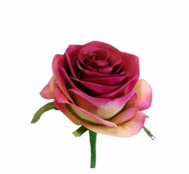 ROSA X1 FUSHIA SUV.57CM(8CM) (Q358/8)