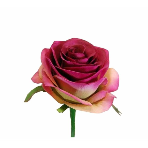 ROSA X1 FUSHIA SUV.57CM(8CM) (Q358/8)