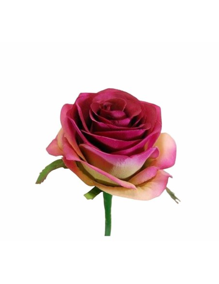 ROSA X1 FUSHIA SUV.57CM(8CM) (Q358/8)