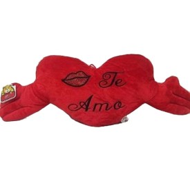 CORAZON ABRAZO PEQUEÑO