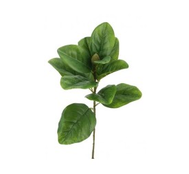 HJ.MAGNOLIA VERDE 76cm(17) (J2